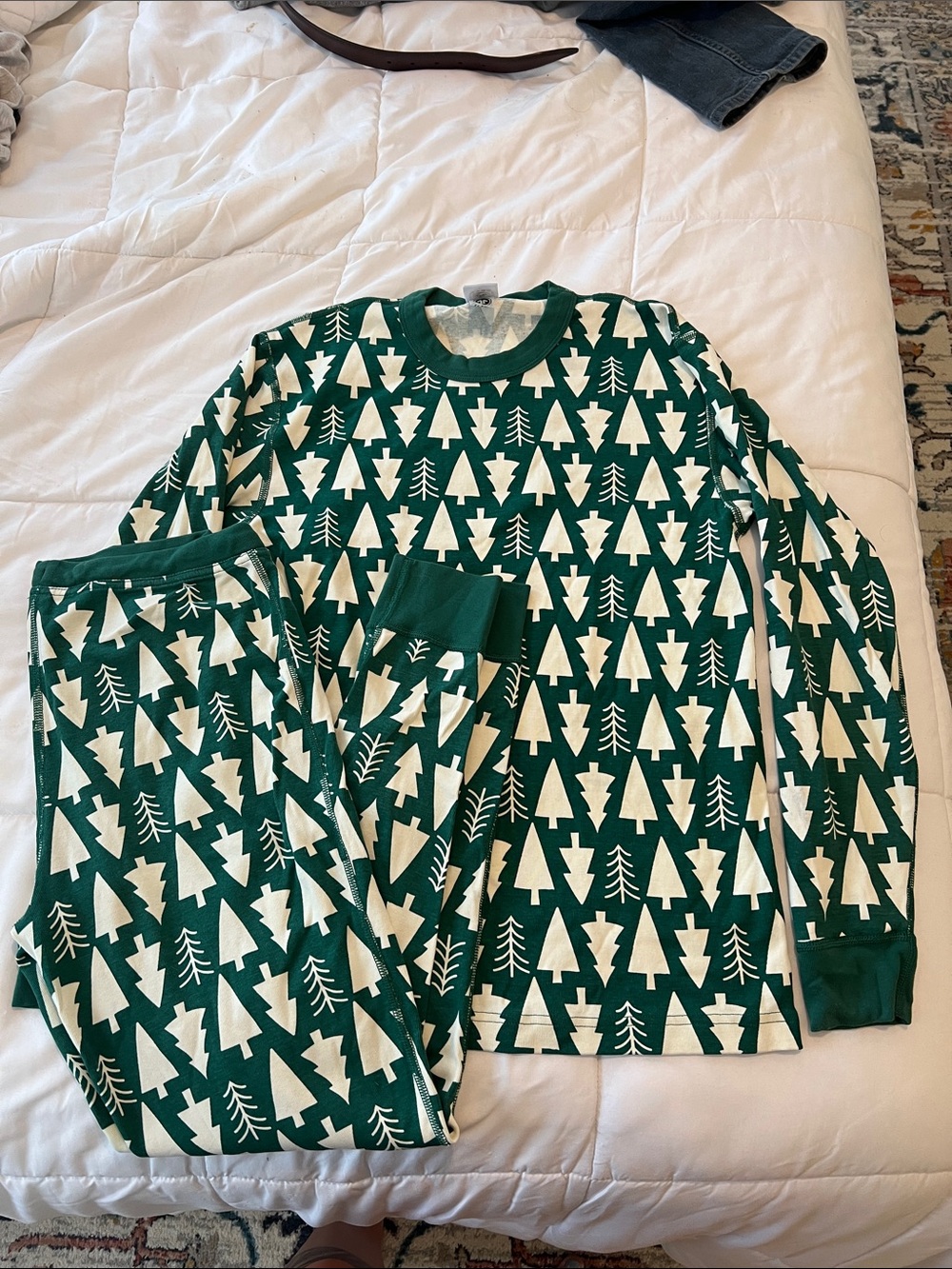 Hannah Anderson Holiday Pajama Set - Green Trees